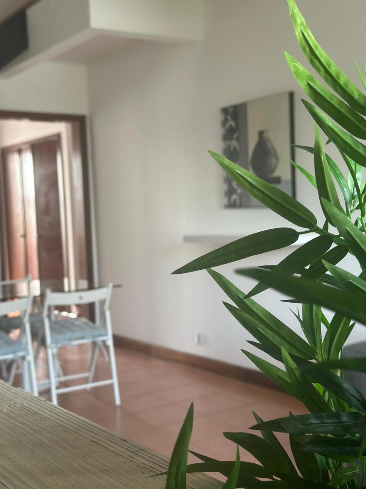 Azores Pedra Apartments - T0 E T1 Понта Делгада Екстериор снимка